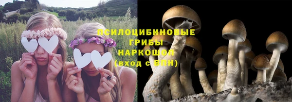 кокаин перу Нестеровская