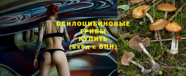 дживик Заволжск