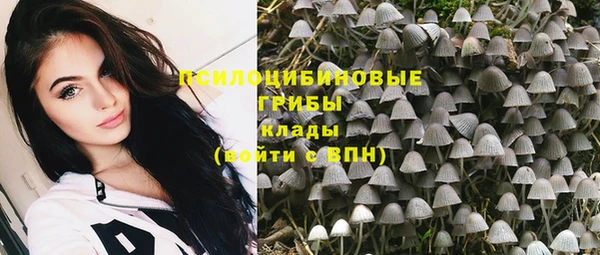 гашиш Заводоуковск