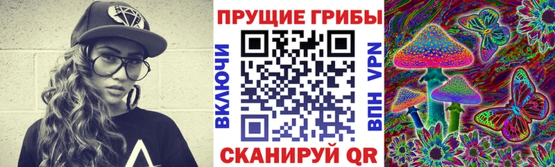 Псилоцибиновые грибы Psilocybine cubensis  Пущино 