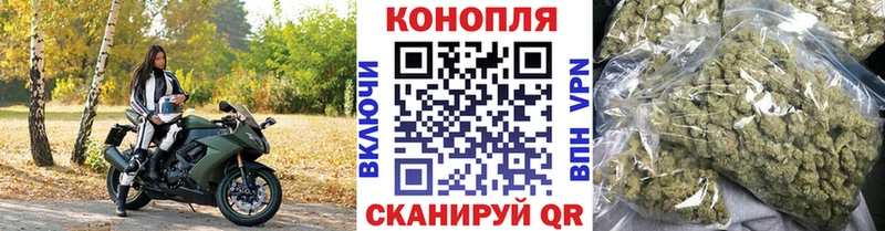 Марихуана семена  магазин продажи наркотиков  Пущино 